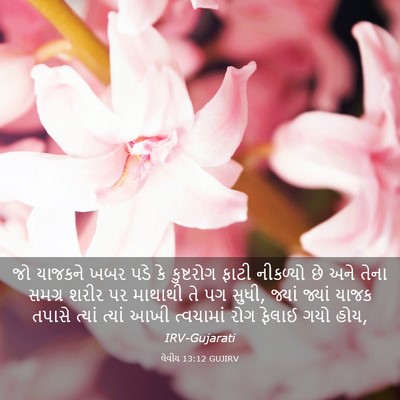 Picture 03 - લેવીય 13:12 GUJIRV - જો યાજકને ખબર પડે - Bible Verse Picture