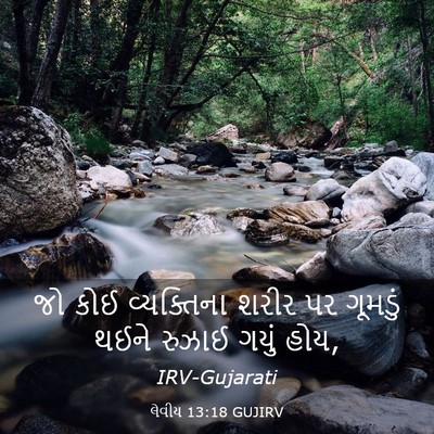 Picture 03 - લેવીય 13:18 GUJIRV - જો કોઈ વ્યક્તિના - Bible Verse Picture