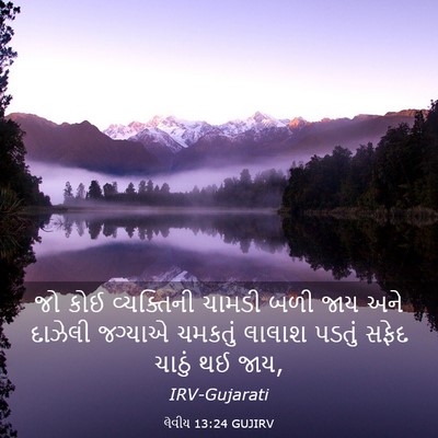 Picture 03 - લેવીય 13:24 GUJIRV - જો કોઈ વ્યક્તિની - Bible Verse Picture