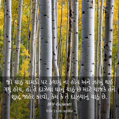 Picture 03 - લેવીય 13:28 GUJIRV - જો ચાઠું ચામડી પર - Bible Verse Picture