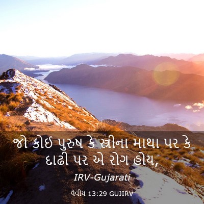Picture 03 - લેવીય 13:29 GUJIRV - જો કોઈ પુરુષ કે - Bible Verse Picture