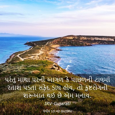 Picture 03 - લેવીય 13:42 GUJIRV - પરંતુ માથા પરની - Bible Verse Picture