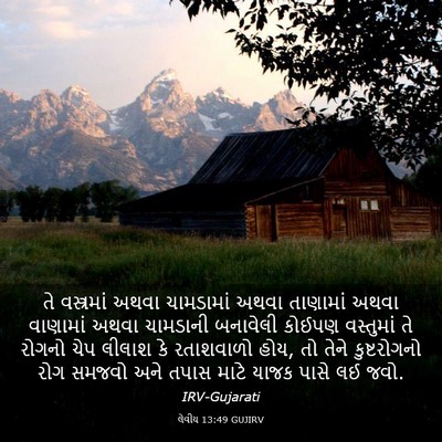 Picture 03 - લેવીય 13:49 GUJIRV - તે વસ્ત્રમાં અથવા - Bible Verse Picture