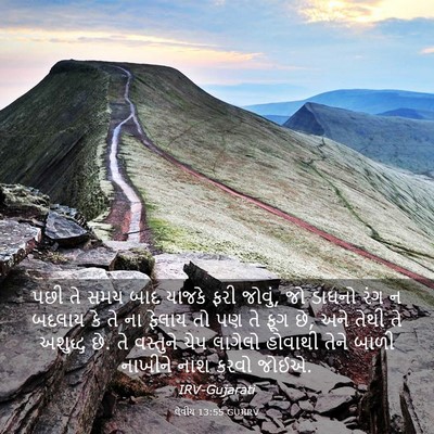 Picture 03 - લેવીય 13:55 GUJIRV - પછી તે સમય બાદ - Bible Verse Picture