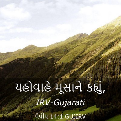 Picture 03 - લેવીય 14:1 GUJIRV - યહોવાહે મૂસાને - Bible Verse Picture