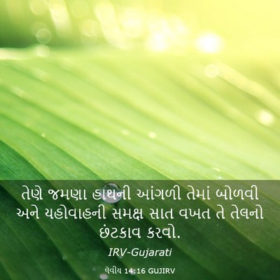 Picture 03 - લેવીય 14:16 GUJIRV - તેણે જમણા હાથની - Bible Verse Picture