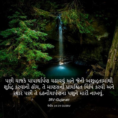 Picture 03 - લેવીય 14:19 GUJIRV - પછી યાજકે - Bible Verse Picture