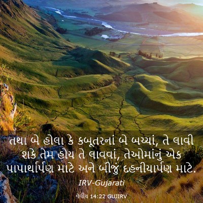 Picture 03 - લેવીય 14:22 GUJIRV - તથા બે હોલા કે - Bible Verse Picture