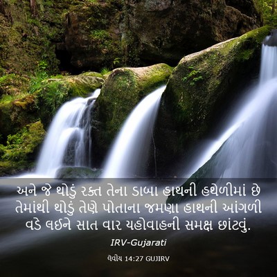 Picture 03 - લેવીય 14:27 GUJIRV - અને જે થોડું રક્ત - Bible Verse Picture
