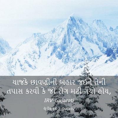 Picture 03 - લેવીય 14:3 GUJIRV - યાજકે છાવણીની - Bible Verse Picture