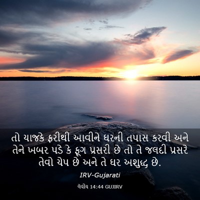 Picture 03 - લેવીય 14:44 GUJIRV - તો યાજકે ફરીથી - Bible Verse Picture
