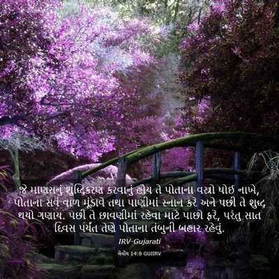 Picture 03 - લેવીય 14:8 GUJIRV - જે માણસનું - Bible Verse Picture