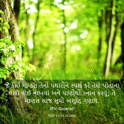 Picture 03 - લેવીય 15:21 GUJIRV - જે કોઈ માણસ તેની - Bible Verse Picture