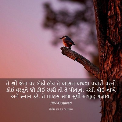 Picture 03 - લેવીય 15:23 GUJIRV - તે સ્ત્રી જેના પર - Bible Verse Picture