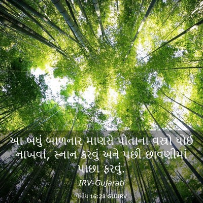 Picture 03 - લેવીય 16:28 GUJIRV - આ બધું બાળનાર - Bible Verse Picture
