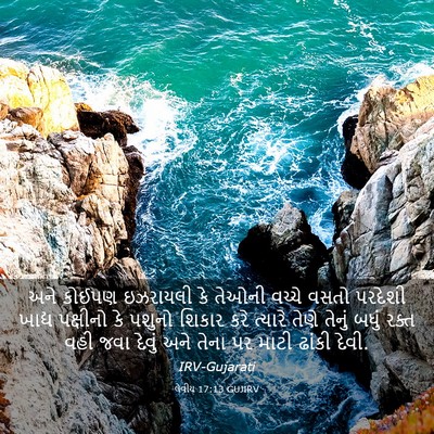 Picture 03 - લેવીય 17:13 GUJIRV - અને કોઈપણ ઇઝરાયલી - Bible Verse Picture
