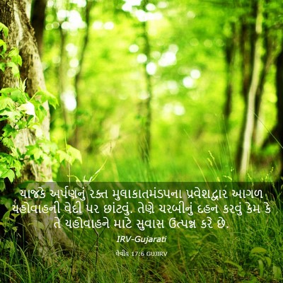 Picture 03 - લેવીય 17:6 GUJIRV - યાજકે અર્પણનું - Bible Verse Picture