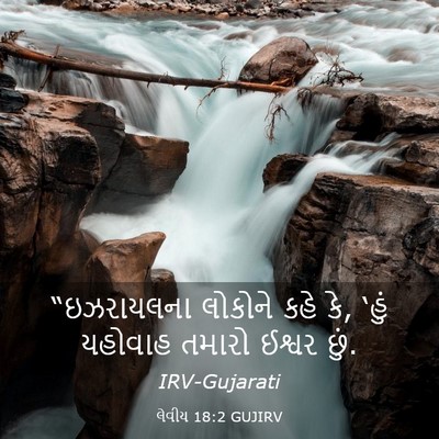 Picture 03 - લેવીય 18:2 GUJIRV - “ઇઝરાયલના લોકોને - Bible Verse Picture