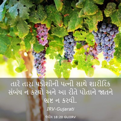 Picture 03 - લેવીય 18:20 GUJIRV - તારે તારા પડોશીની - Bible Verse Picture