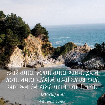 Picture 03 - લેવીય 19:17 GUJIRV - તમારે તમારા - Bible Verse Picture