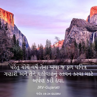 Picture 03 - લેવીય 19:24 GUJIRV - પરંતુ ચોથે વર્ષે - Bible Verse Picture