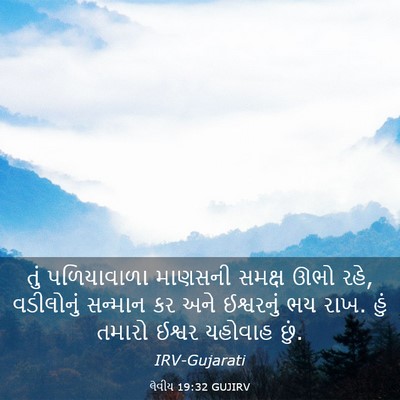 Picture 03 - લેવીય 19:32 GUJIRV - તું પળિયાવાળા - Bible Verse Picture