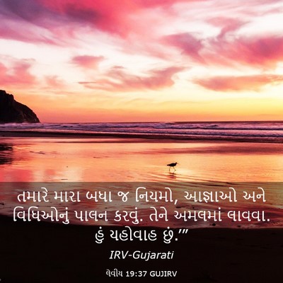 Picture 03 - લેવીય 19:37 GUJIRV - તમારે મારા બધા જ - Bible Verse Picture