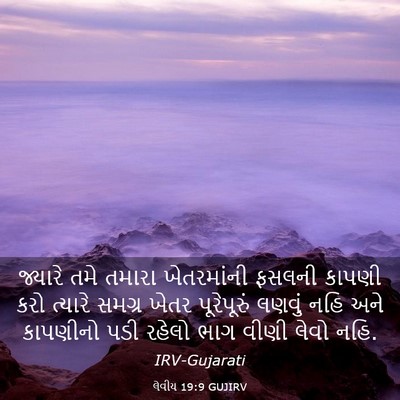 Picture 03 - લેવીય 19:9 GUJIRV - જ્યારે તમે તમારા - Bible Verse Picture