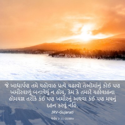 Picture 03 - લેવીય 2:11 GUJIRV - જે ખાદ્યાર્પણ તમે - Bible Verse Picture