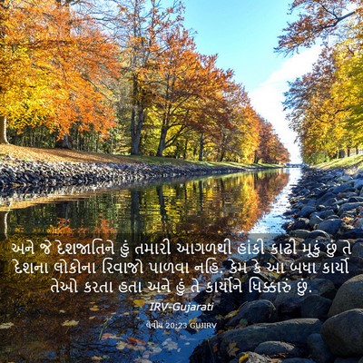 Picture 03 - લેવીય 20:23 GUJIRV - અને જે દેશજાતિને - Bible Verse Picture