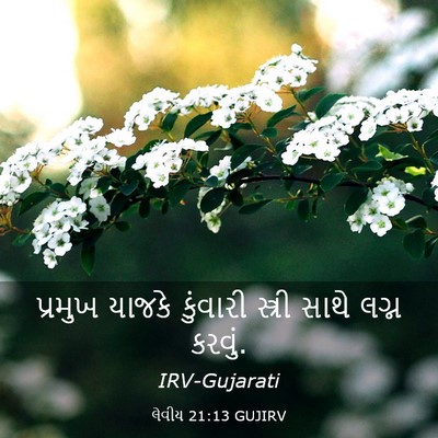 Picture 03 - લેવીય 21:13 GUJIRV - પ્રમુખ યાજકે - Bible Verse Picture
