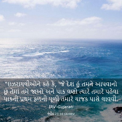 Picture 03 - લેવીય 23:10 GUJIRV - “ઇઝરાયલીઓને કહે - Bible Verse Picture