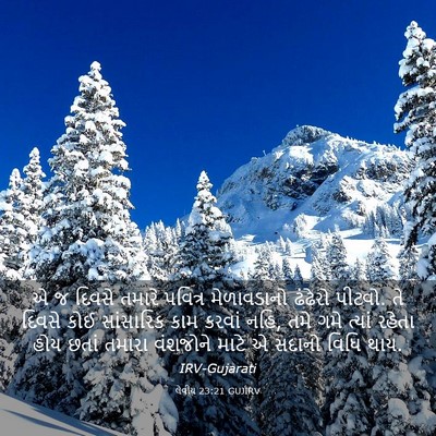 Picture 03 - લેવીય 23:21 GUJIRV - એ જ દિવસે તમારે - Bible Verse Picture
