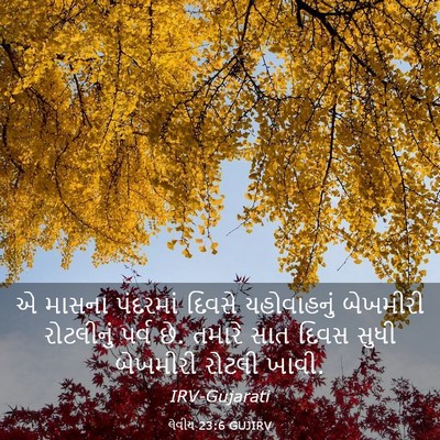 Picture 03 - લેવીય 23:6 GUJIRV - એ માસના પંદરમાં - Bible Verse Picture