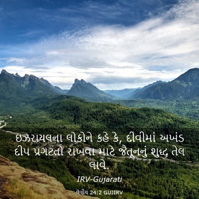 Picture 03 - લેવીય 24:2 GUJIRV - ઇઝરાયલના લોકોને - Bible Verse Picture
