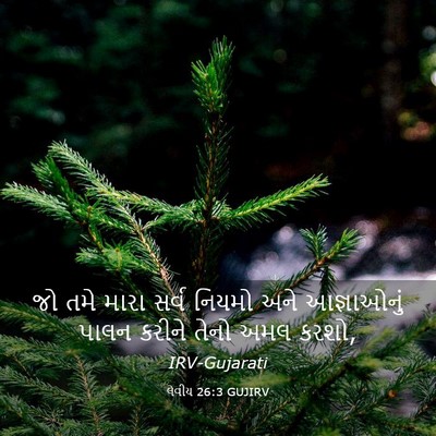 Picture 03 - લેવીય 26:3 GUJIRV - જો તમે મારા સર્વ - Bible Verse Picture