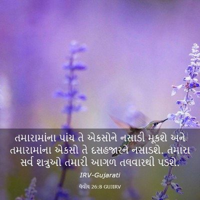 Picture 03 - લેવીય 26:8 GUJIRV - તમારામાંના પાંચ - Bible Verse Picture