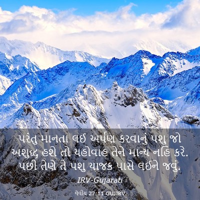 Picture 03 - લેવીય 27:11 GUJIRV - પરંતુ માનતા લઈ - Bible Verse Picture