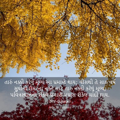 Picture 03 - લેવીય 27:3 GUJIRV - તારું નક્કી - Bible Verse Picture