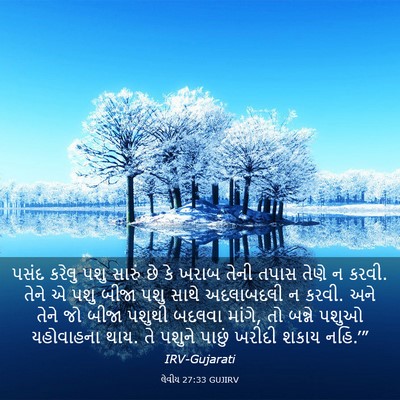 Picture 03 - લેવીય 27:33 GUJIRV - પસંદ કરેલુ પશુ - Bible Verse Picture