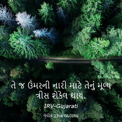 Picture 03 - લેવીય 27:4 GUJIRV - તે જ ઉંમરની નારી - Bible Verse Picture