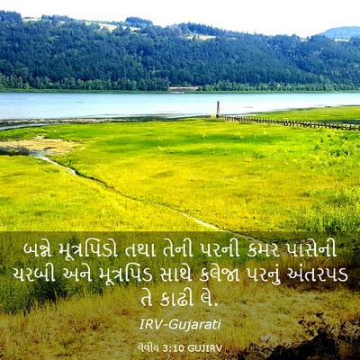 Picture 03 - લેવીય 3:10 GUJIRV - બન્ને મૂત્રપિંડો - Bible Verse Picture