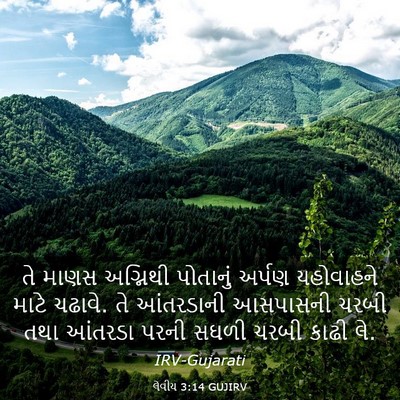 Picture 03 - લેવીય 3:14 GUJIRV - તે માણસ અગ્નિથી - Bible Verse Picture