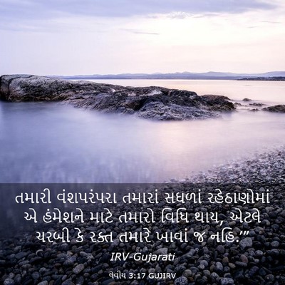 Picture 03 - લેવીય 3:17 GUJIRV - તમારી વંશપરંપરા - Bible Verse Picture