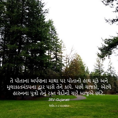 Picture 03 - લેવીય 3:2 GUJIRV - તે પોતાના અર્પણના - Bible Verse Picture