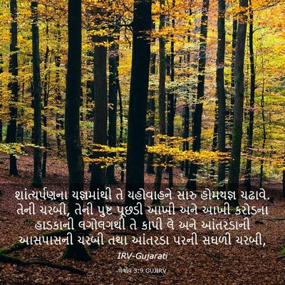Picture 03 - લેવીય 3:9 GUJIRV - શાંત્યર્પણના - Bible Verse Picture