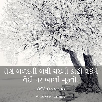 Picture 03 - લેવીય 4:19 GUJIRV - તેણે બળદની બધી - Bible Verse Picture