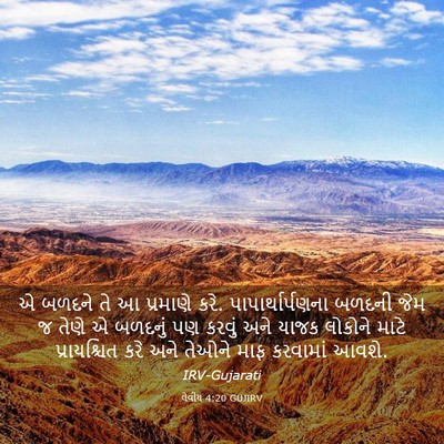 Picture 03 - લેવીય 4:20 GUJIRV - એ બળદને તે આ - Bible Verse Picture