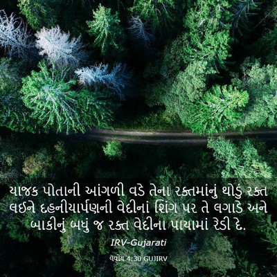 Picture 03 - લેવીય 4:30 GUJIRV - યાજક પોતાની આંગળી - Bible Verse Picture