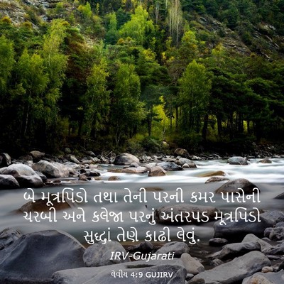Picture 03 - લેવીય 4:9 GUJIRV - બે મૂત્રપિંડો તથા - Bible Verse Picture